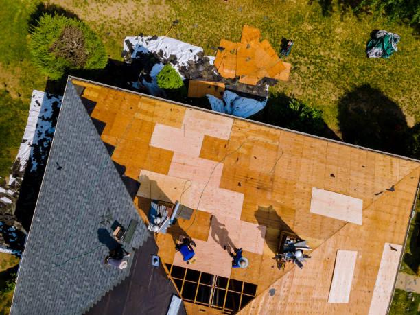 Best Affordable Roof Replacement  in USA